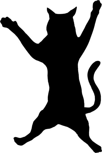 Katze »Rocky«