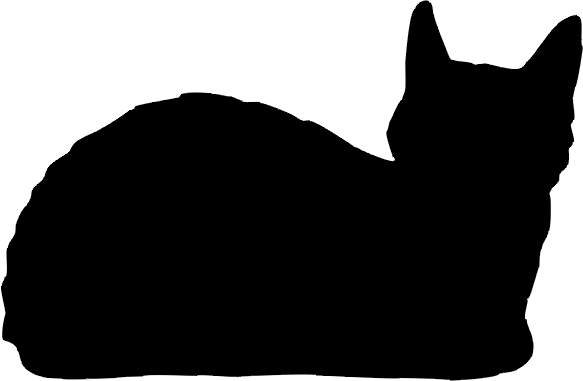 Katze »Merlin«