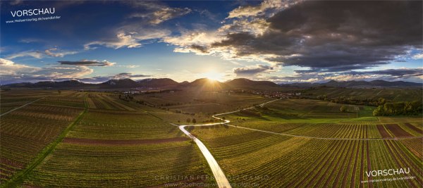 Wandbild »Weinberge bei Ilbesheim« – Limitierte Erstausgabe der Reihe "die Pfalz von oben"